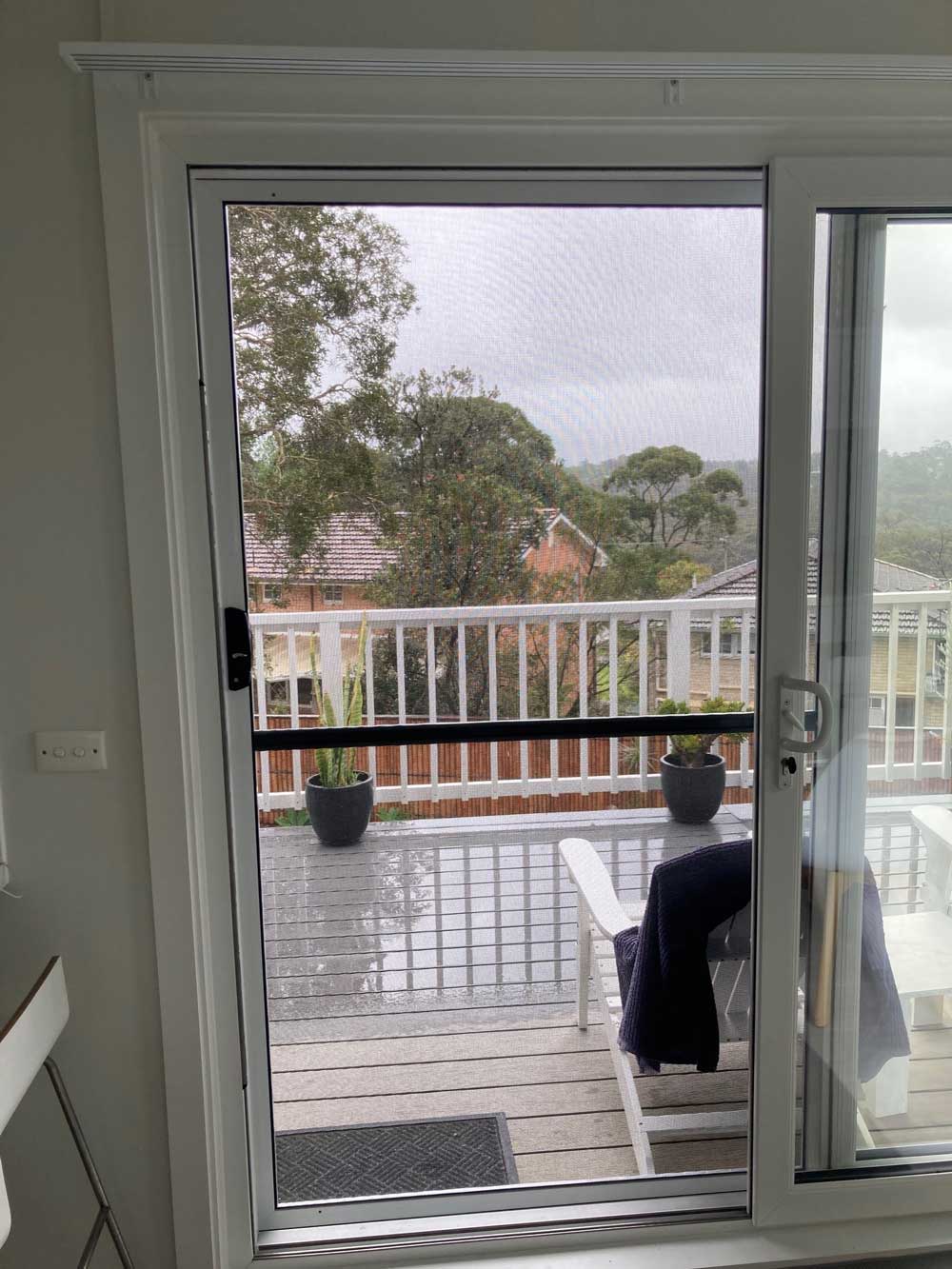 Pot plants on a rain-wet balcony viewed through a screened door