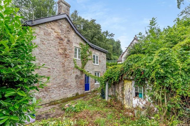 A closed cottage surrounded by an overgrown garden corner