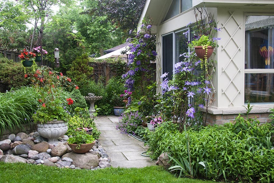A rain-damp garden corner with pot plants and a stone path beside a home